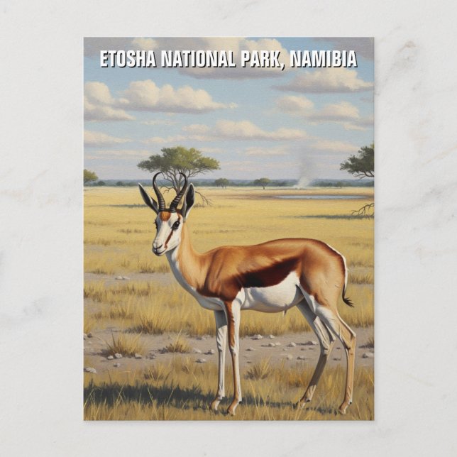 Springbok Etosha nationalpark Namibia Travel Vykort (Framsida)