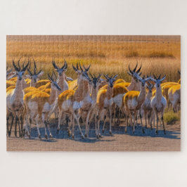 Springbok Herd Pussel