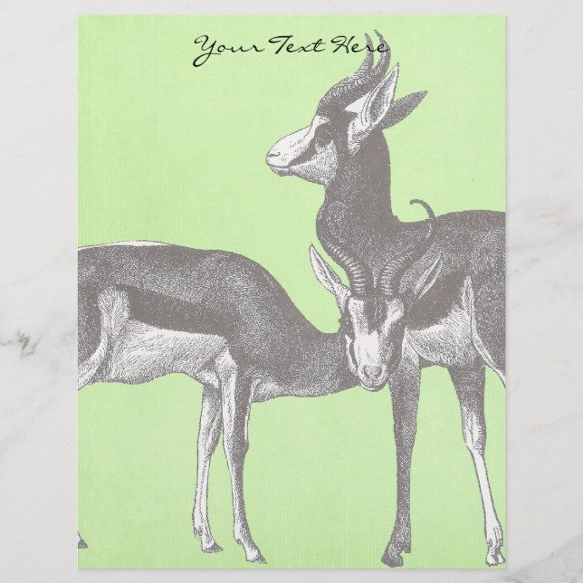 Springbok Letterhead (Framsida)