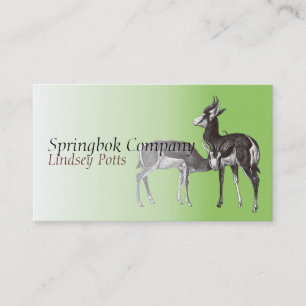 Springbokvisitkort Visitkort