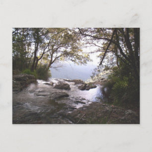 Springbrook Vykort