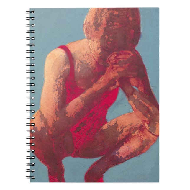 Springer 2011 anteckningsbok (Framsidan)