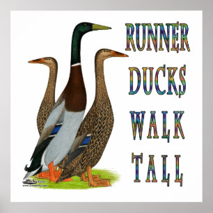 Springer Anka Walk Tall Poster