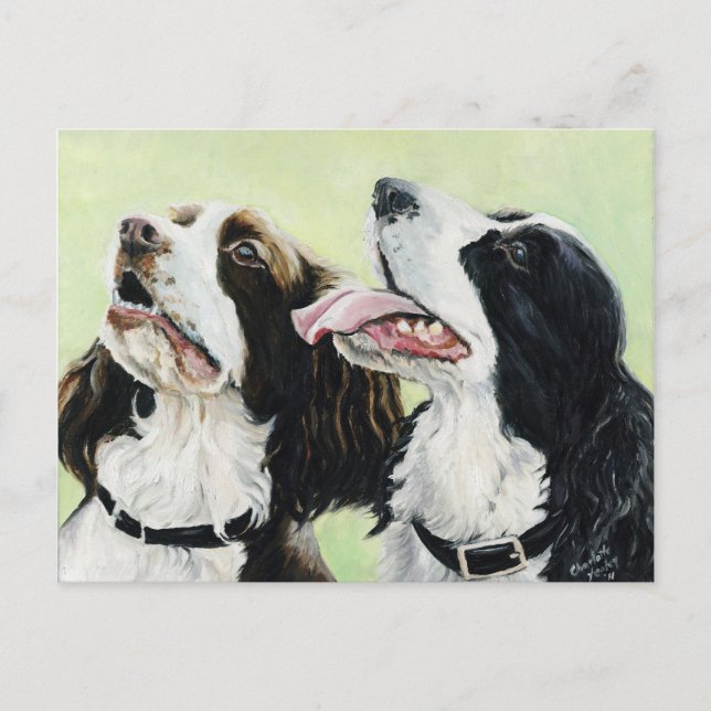 Springer Beggers Original Art-vykort Vykort (Framsida)