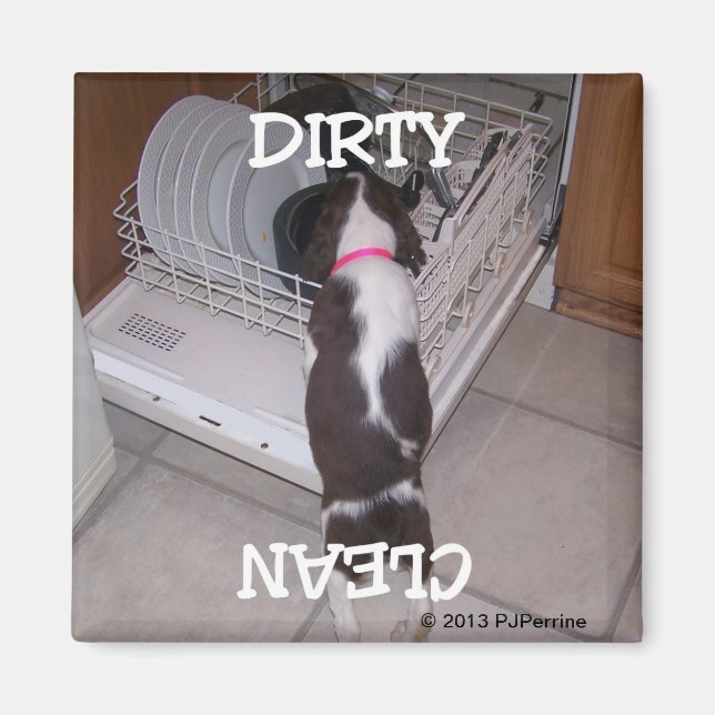 Springer Dishwasher Magnet (Framsidan)