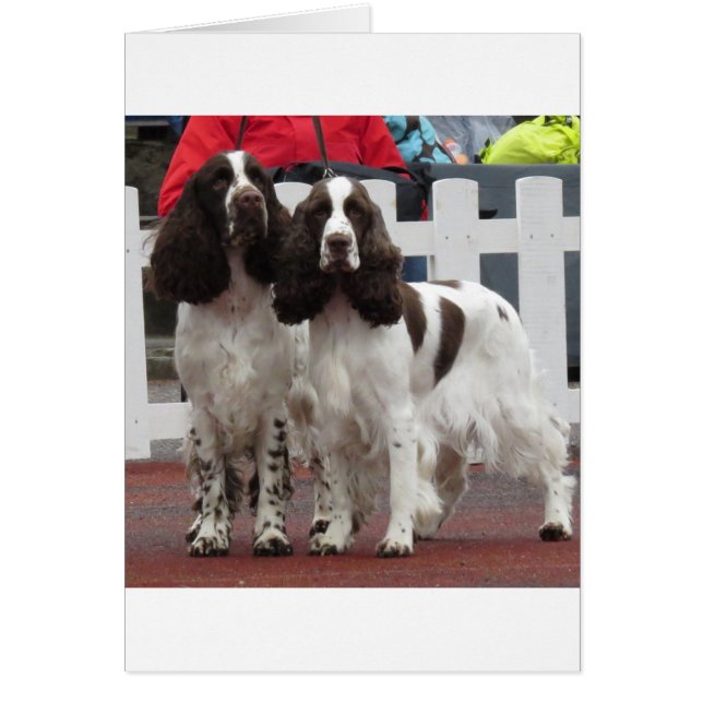 Springer_pair-lag Hälsningskort (Framsidan)