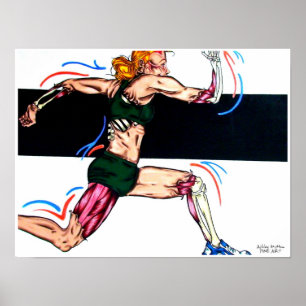 Springer Poster