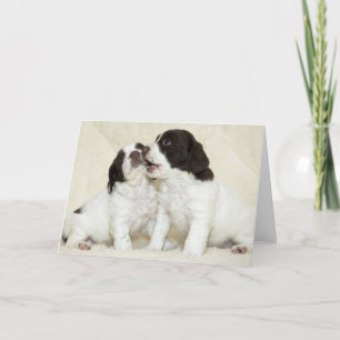 Springer Puppy Friends Kort