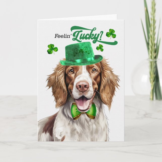 Springer Spain Feelin' Lucky St patrick's day Helgkort (Framsida)