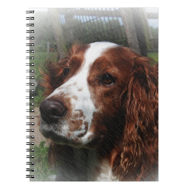 Springer Spain Hund Art Anteckningsbok Med Spiral (Framsidan)