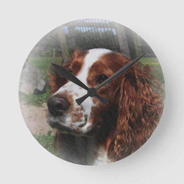 Springer Spain Hund Art Rund Klocka (Framsida)