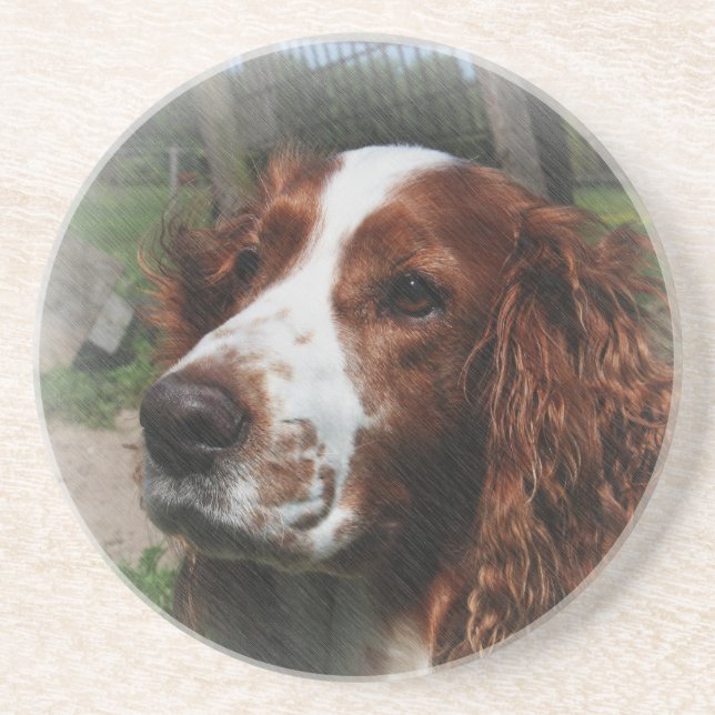 Springer Spain Hund Art Underlägg (Framsidan)