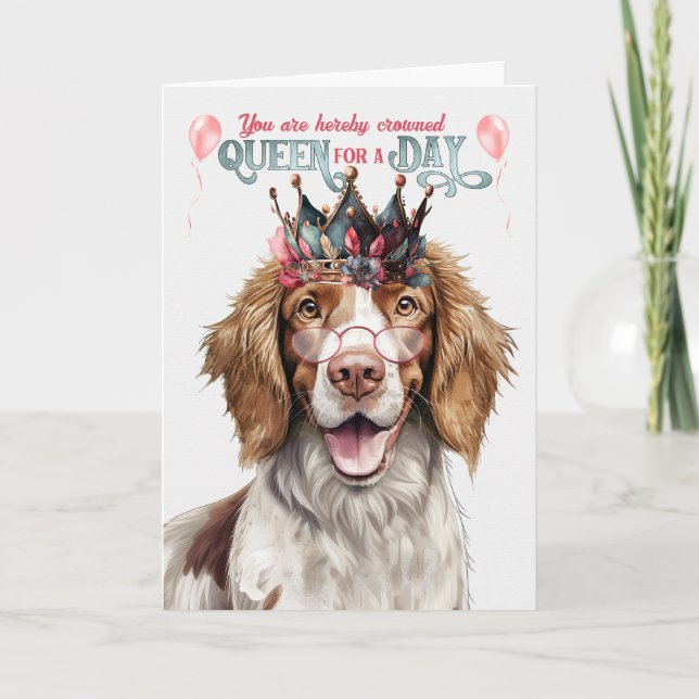 Springer Spain Hund Queen Day Funny Birthday Kort (Framsida)