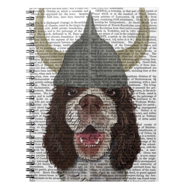 Springer Spain Viking Anteckningsbok Med Spiral (Framsidan)