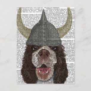 Springer Spain Viking Vykort