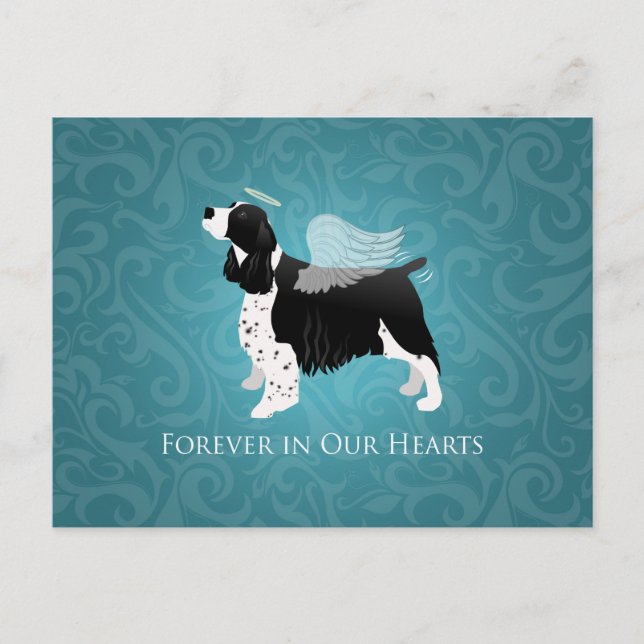 Springer spanel Angel Hund Pet Memorial Design Vykort (Framsida)