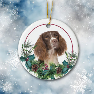 Springer spanel Hund Evergreen Wand Julgransprydnad Keramik