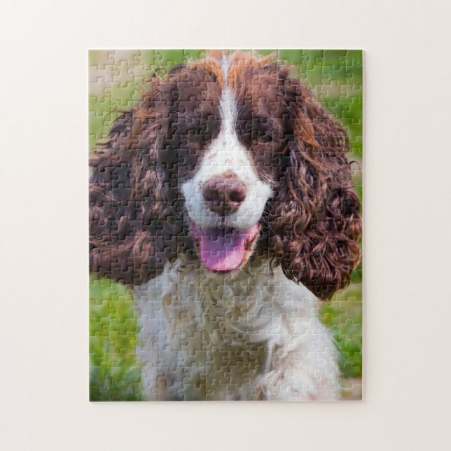 Springer spanel Hund Jigsaws. Pussel (Vertikal)