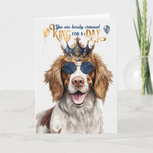 Springer spanel Hund Kung för Day Funny Birthday Kort
