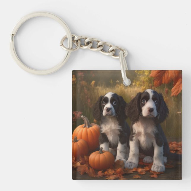 Springer spanel Puppy Autumn Delight Pumpkin (Framsidan)