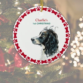 Springer Spaniel 1:a juldagen Personlig Julgransprydnad Keramik