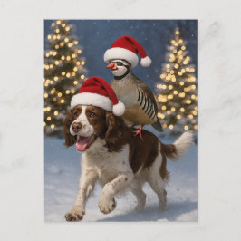 Springer Spaniel and Partridge Christmas postcard Vykort