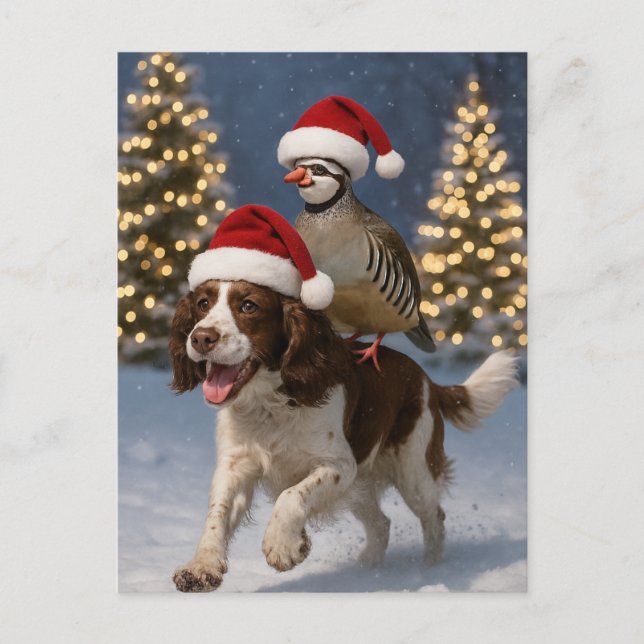 Springer Spaniel and Partridge Christmas postcard Vykort (Framsida)