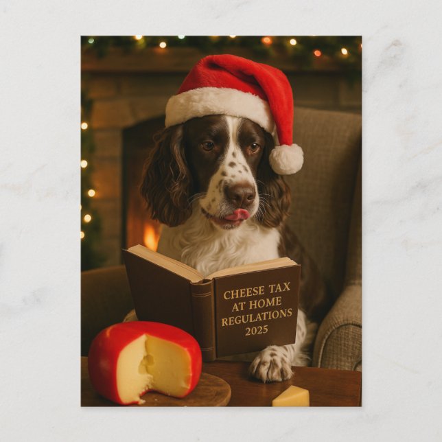 Springer Spaniel  'Cheese Tax' Christmas postcard Vykort (Framsida)