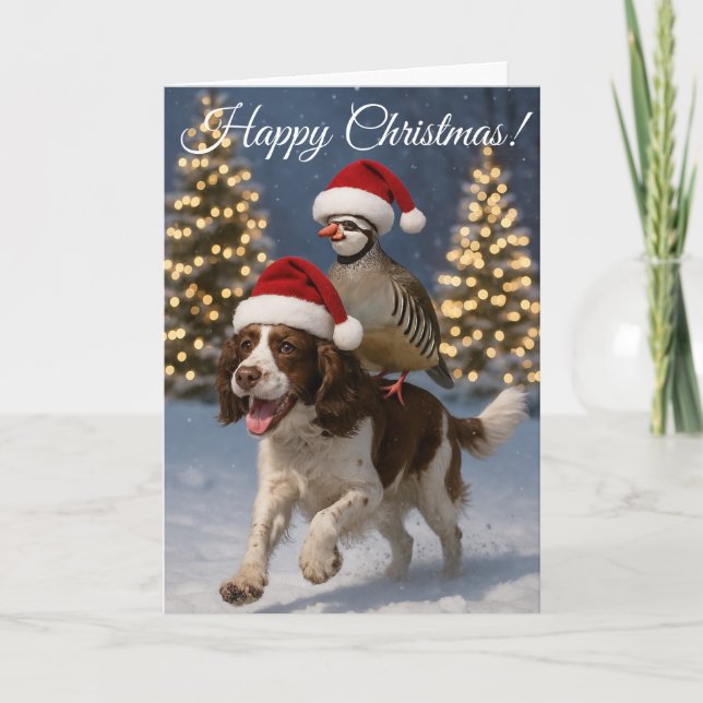 Springer Spaniel gundog & Partridge Christmas card Helgkort (Framsida)