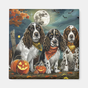 Springer Spaniel Halloween Kuslig Magnet
