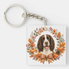 Springer Spaniel Höst