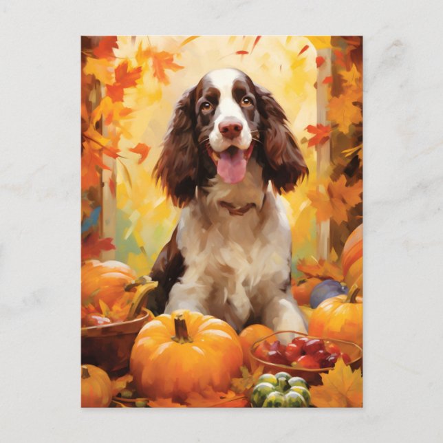 Springer Spaniel Höst Thanksgiving Vykort (Framsida)