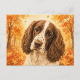 Springer Spaniel Höstskogs Hund Vykort