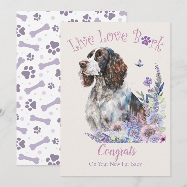 Springer Spaniel Hund Adoption, Gotcha Day Kort (Fram/baksida)