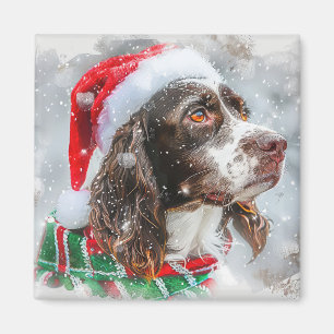 Springer Spaniel Hund Jul Festlig Magnet