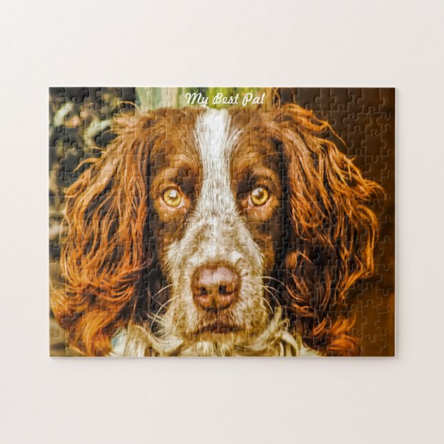 Springer Spaniel Hund Pussel. Pussel (Horisontell)