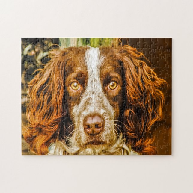 Springer Spaniel Hund Pussel. Pussel (Horisontell)