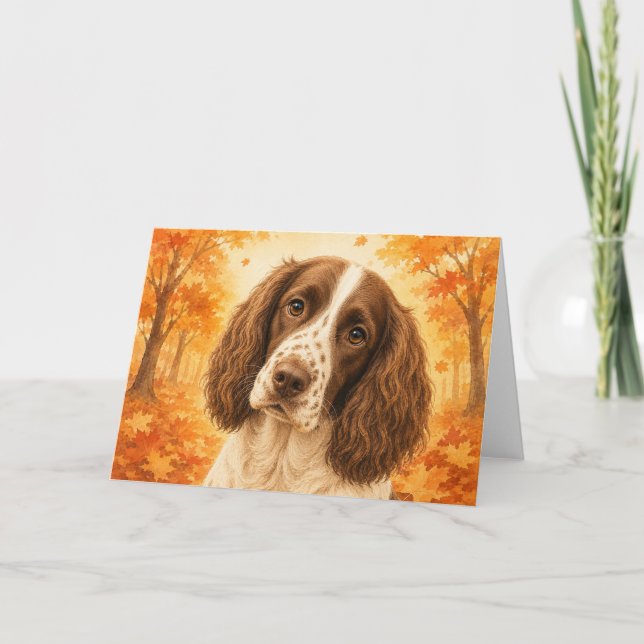 Springer Spaniel-kort Kort (Framsida)