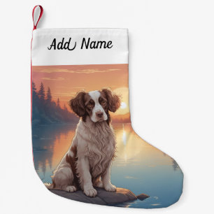 Springer Spaniel  Liten Julstrumpa