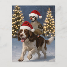Springer Spaniel och Rapphöns julkort