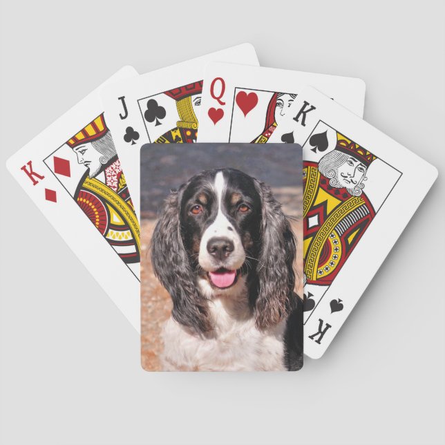 Springer Spanska Hund betalkort Casinokort (Baksidan)