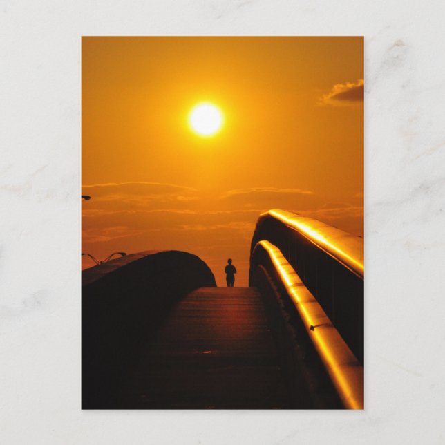 Springer Sunset Delight Bridge Daytona Postcard Vykort (Framsida)