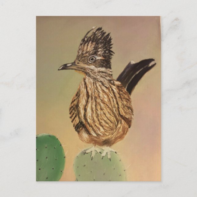 Springer Vykort (Framsida)