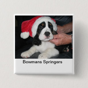 Springeren Santa klämmer fast Knapp