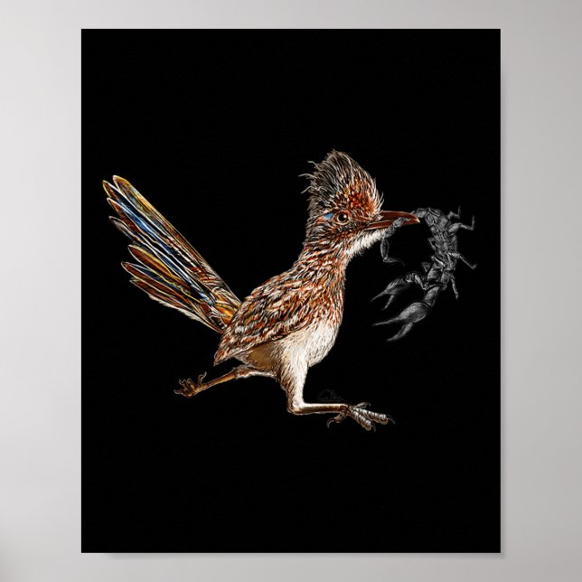 Springerna Bird Hunter Poster (Framsidan)
