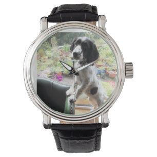 springerspaniel armbandsur