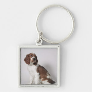 Springerspaniel Fyrkantig Silverfärgad Nyckelring
