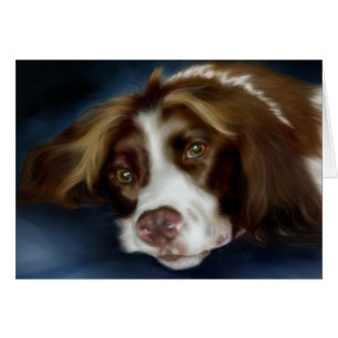SpringerSpaniel Hälsningskort
