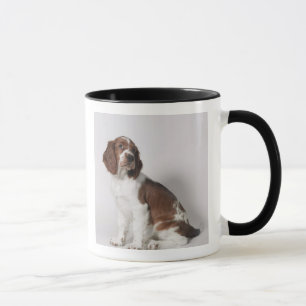 Springerspaniel Mugg