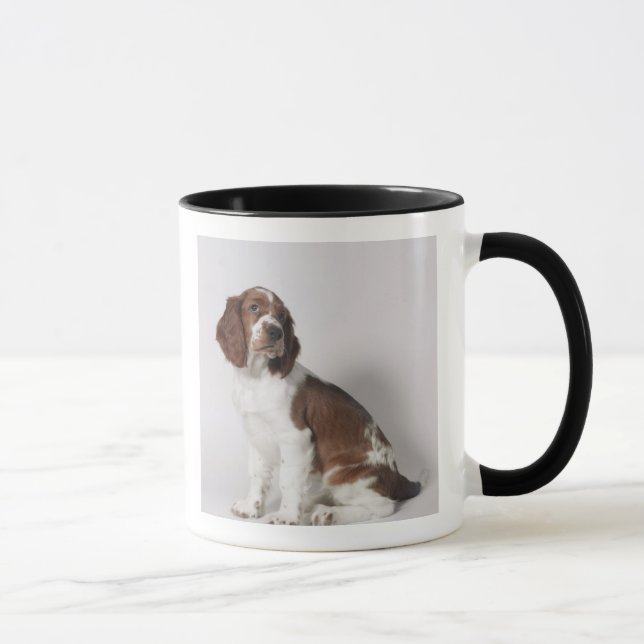 Springerspaniel Mugg (Höger)